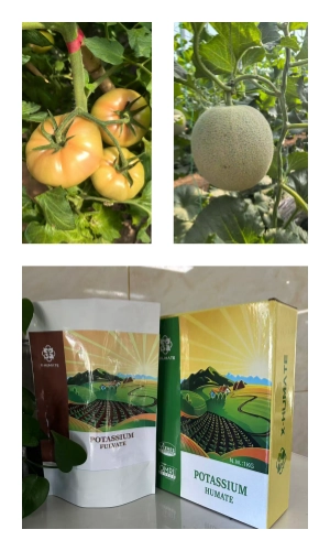 super potassium humate 98